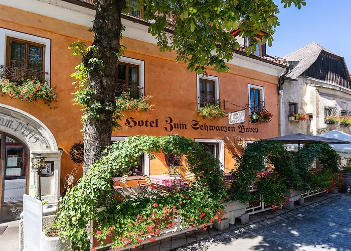 Zum Schwarzen Baeren Hotel 4*